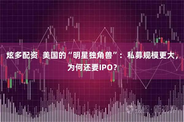 炫多配资  美国的“明星独角兽”：私募规模更大，为何还要IPO？
