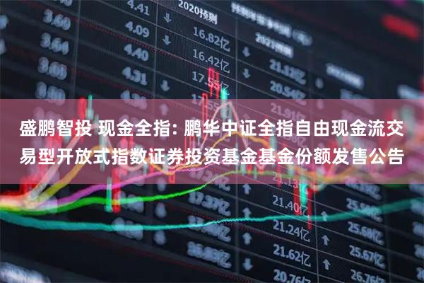 盛鹏智投 现金全指: 鹏华中证全指自由现金流交易型开放式指数证券投资基金基金份额发售公告