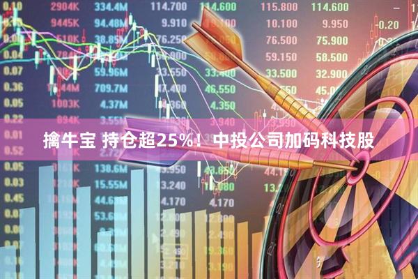 擒牛宝 持仓超25%！中投公司加码科技股