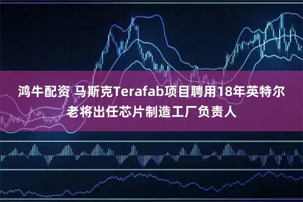 鸿牛配资 马斯克Terafab项目聘用18年英特尔老将出任芯片制造工厂负责人